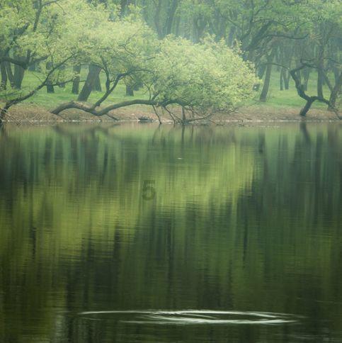 比苹果良心太多！华为官网龙年主题手机壳上架：最贵168元