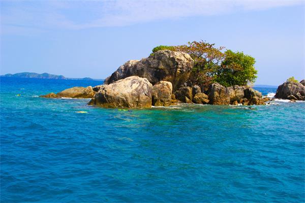 瑞德的冒险之旅中文版