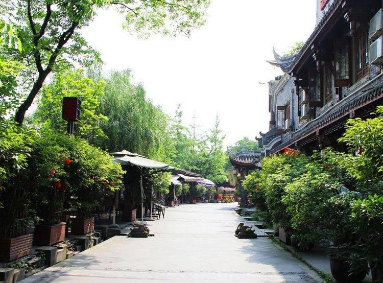 动物帮帮忙保卫家园